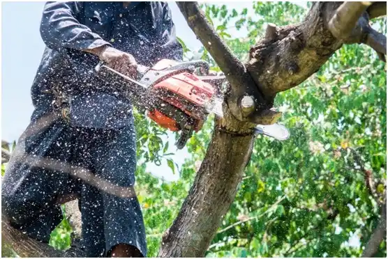 tree services Tishomingo